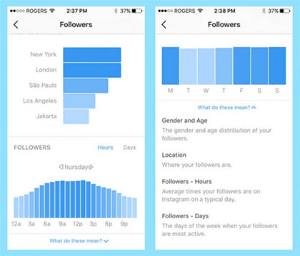 ابزار آنالیز بیزینس پروفایل اینستاگرام ابزار آنالیز بیزینس پروفایل اینستاگرام