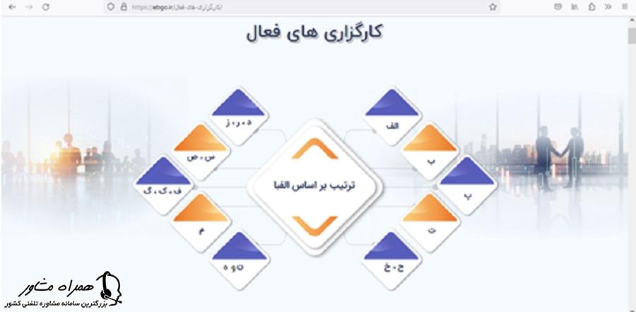 کارگزاری های فعال