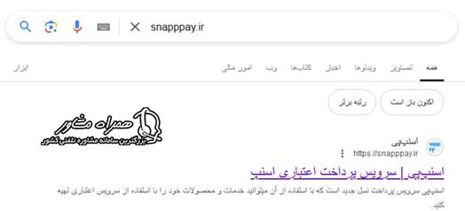 ورود به سایت snapppay.ir