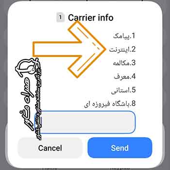 انتخاب گزینه اینترنت
